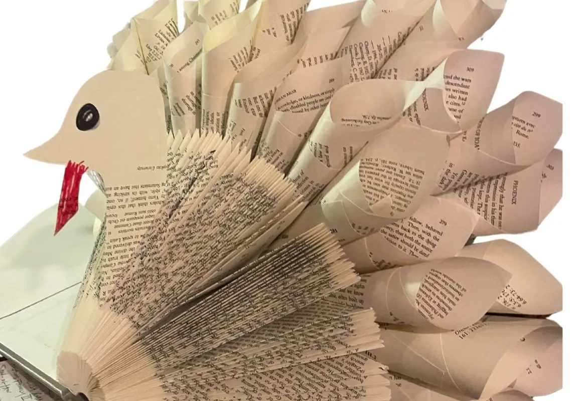 image of turkey made out of an old book