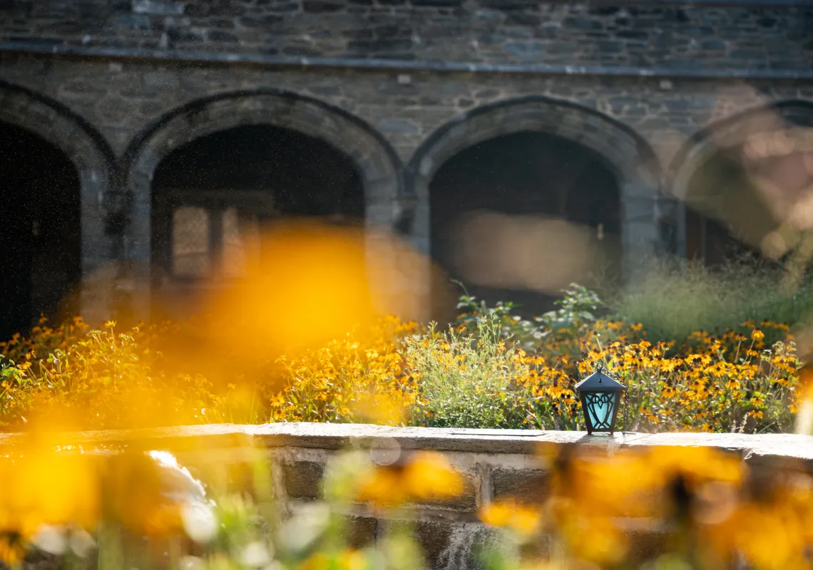 Lantern from Afar - campus beauty stock