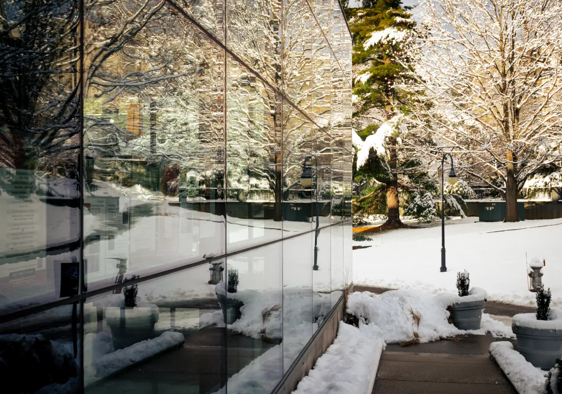 Goodhart in the winter