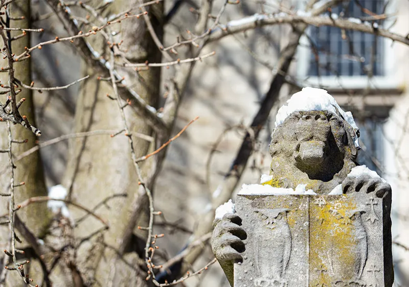 Tiger statue holding Owl tablet on campus covered with snow