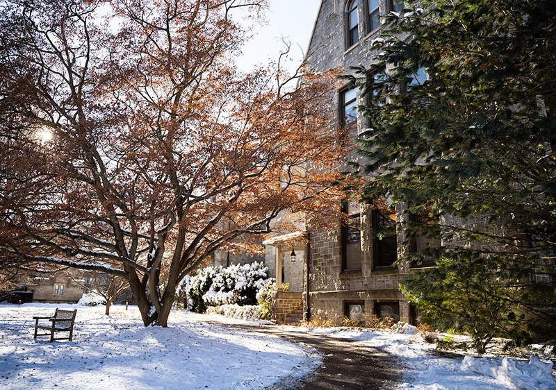 Taylor Hall entrance with snow and sun peaking through a tree