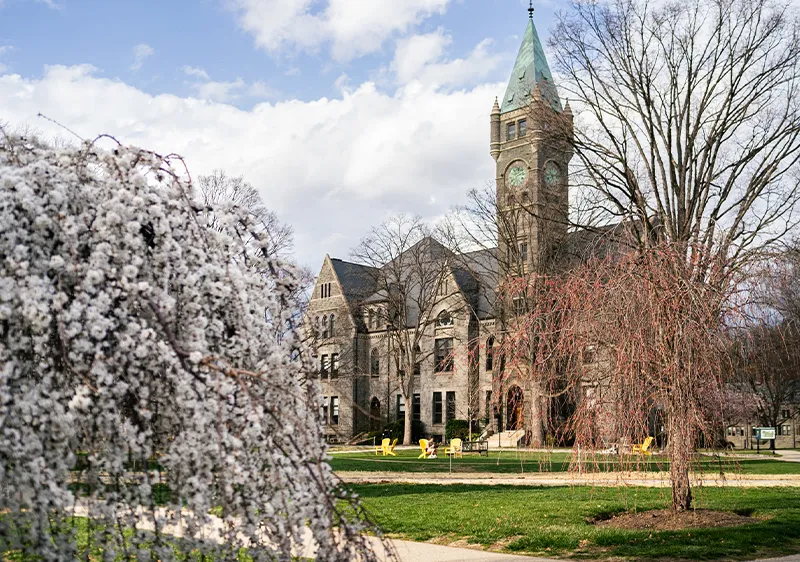 Taylor Hall with cherry blossoms