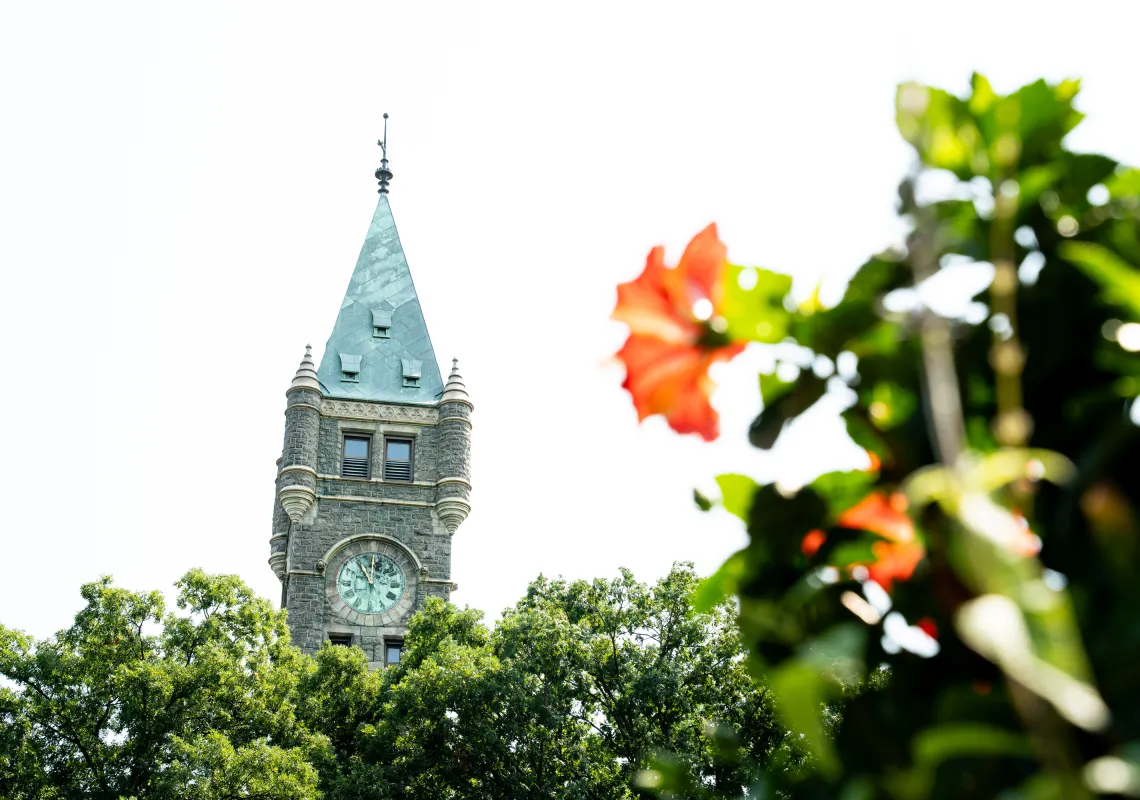 Picture of the clock tower