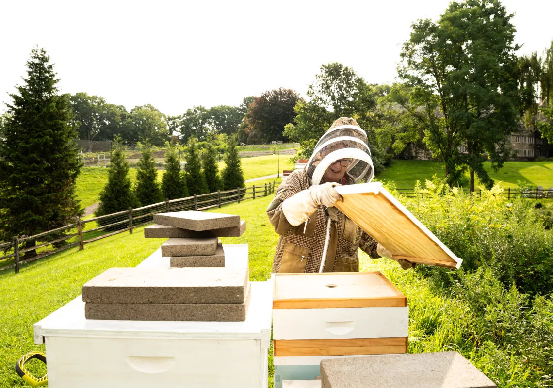 Ann Isenberg beekeeper