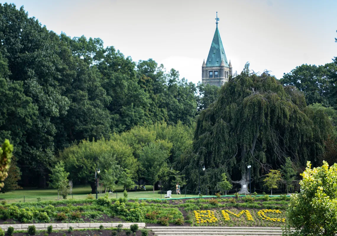 Taylor Hall with the letters BMC spelled out in yellow bushes in the foreground