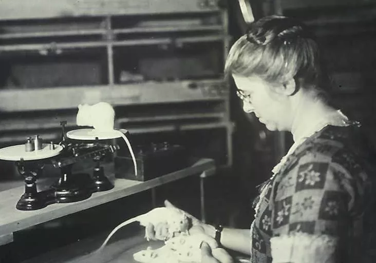 Scientist Helen Dean King with her Wistar Rats