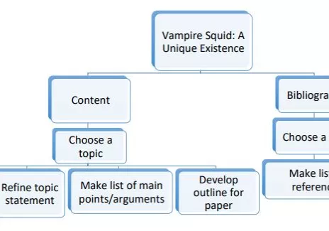 Project management flow chart shows some branching areas. (Not readable in image; described in document)