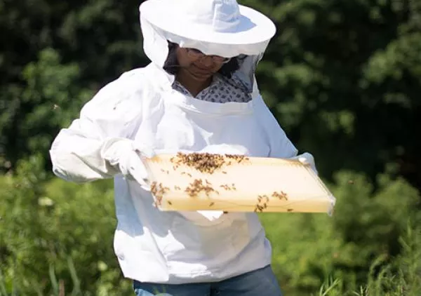 Ankitha Kannad in protective suit handling bees