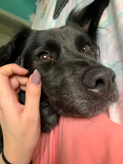 Ellie Schumacher's dog