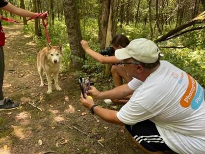 Man taking picture of a husky on a trail