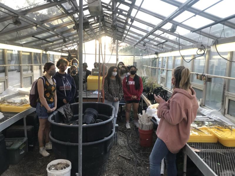 Fellows tour the greenhouse