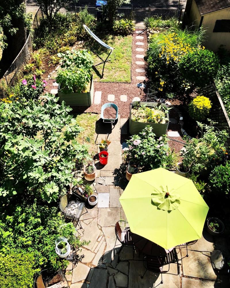 Backyard garden with a patio, hammock, and plants