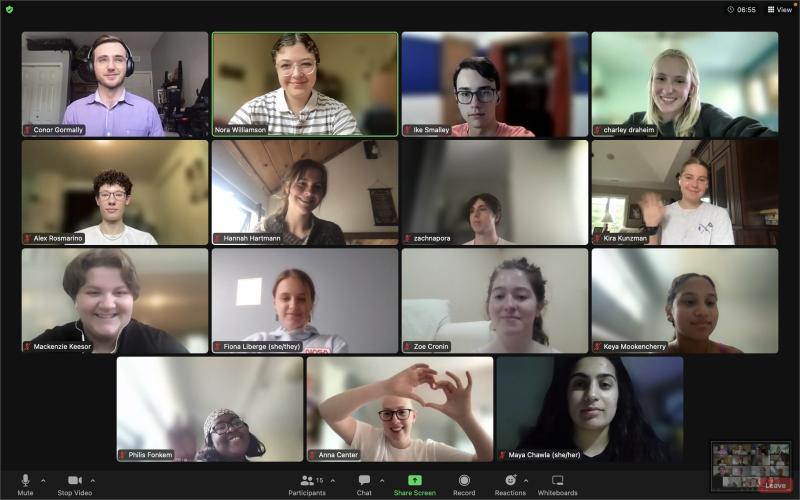 Screenshot of a Zoom meeting. 