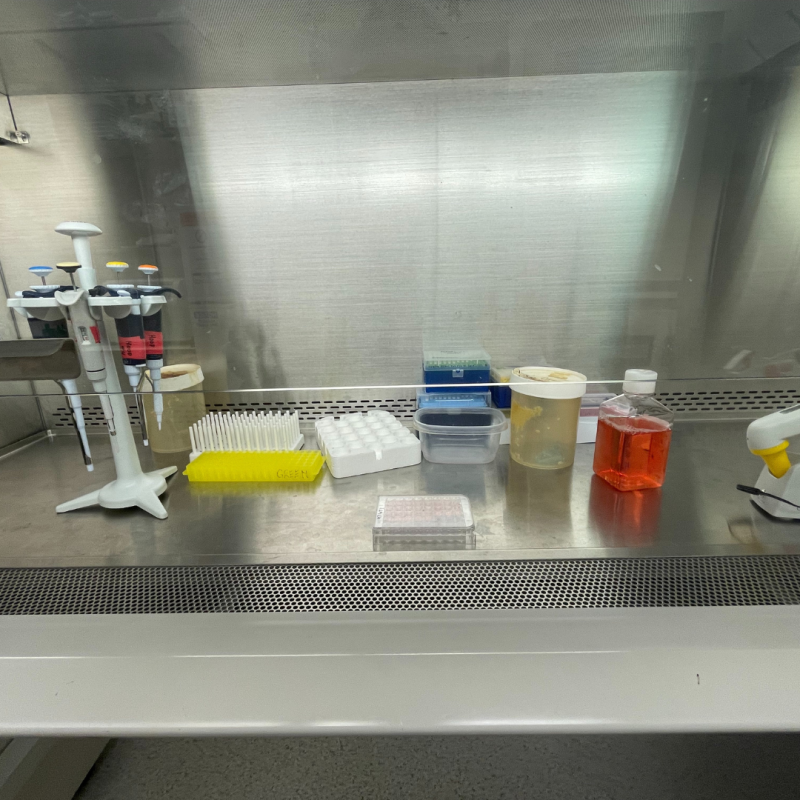 Cell-culture area in a lab