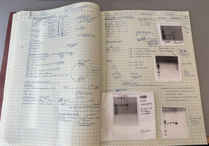 Open lab notebook. 