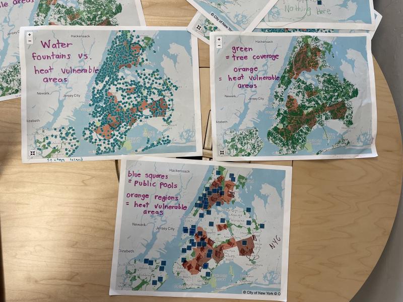 Three environmental maps of New York. 