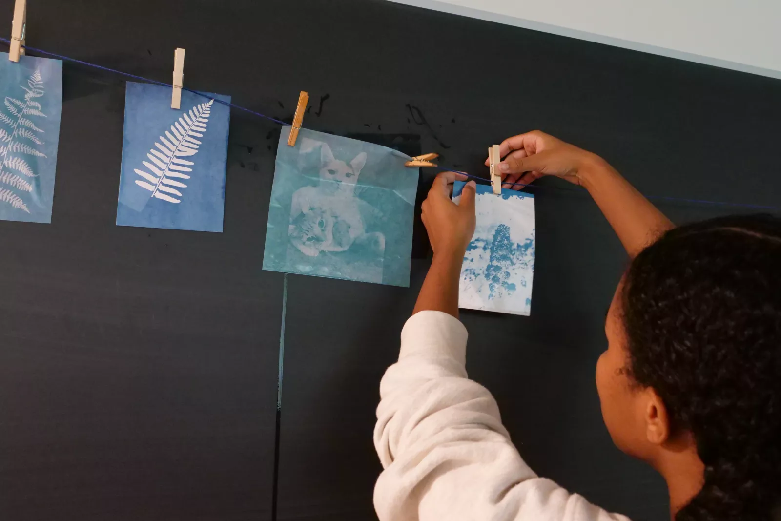 Cyanotype prints