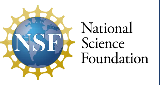 NSF-logo with line