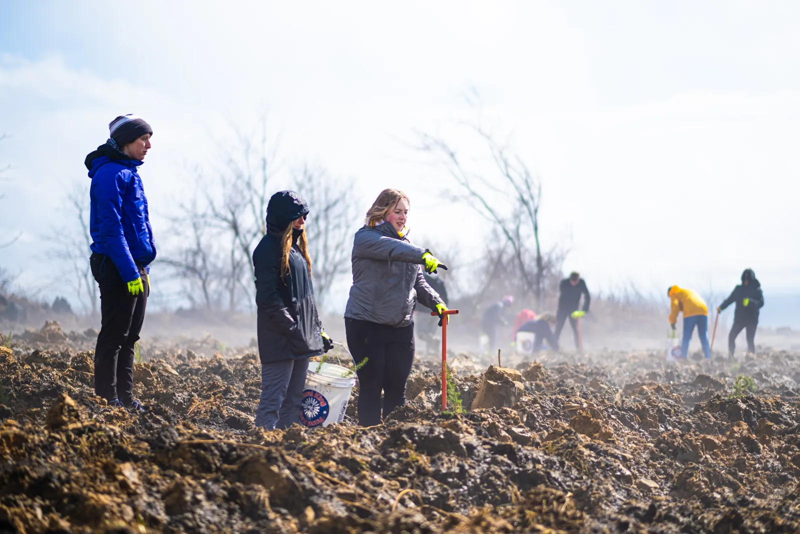 Planting trees in Altoona