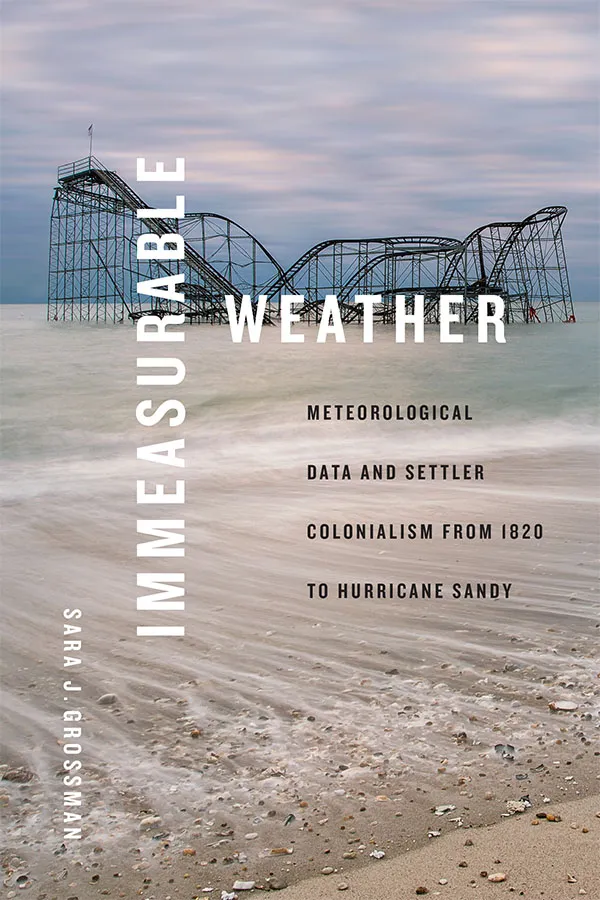 The cover of Immeasurable Weather