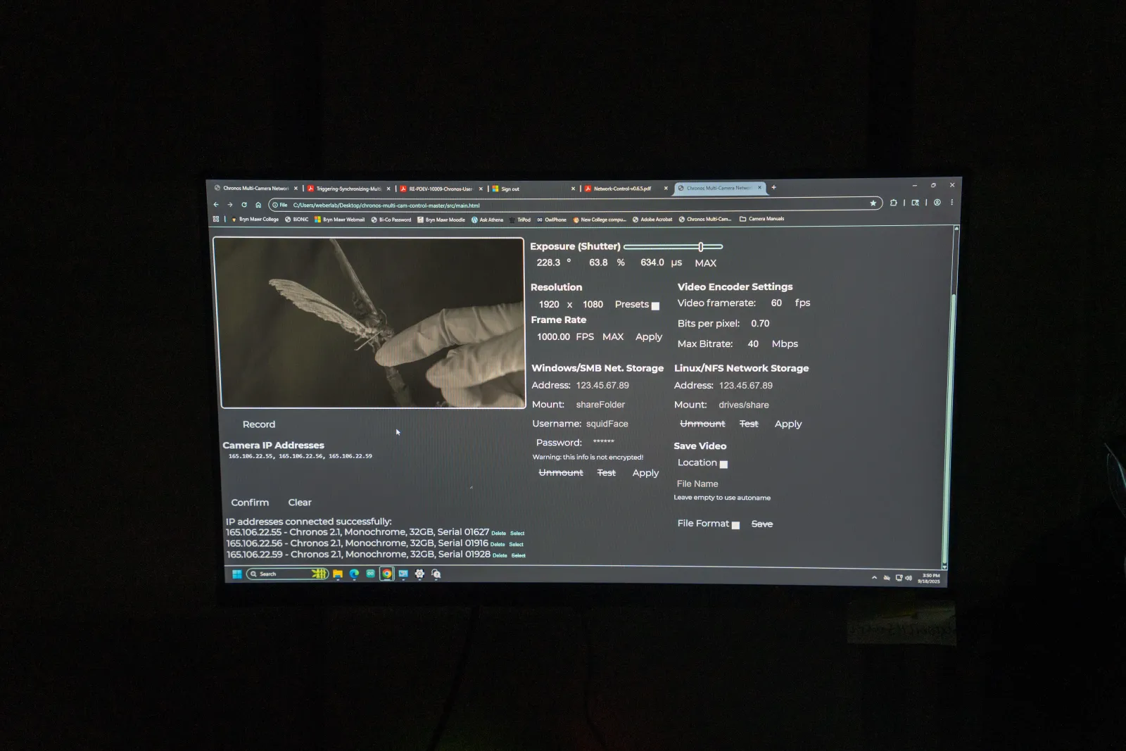 Display of a moth on a tv screen