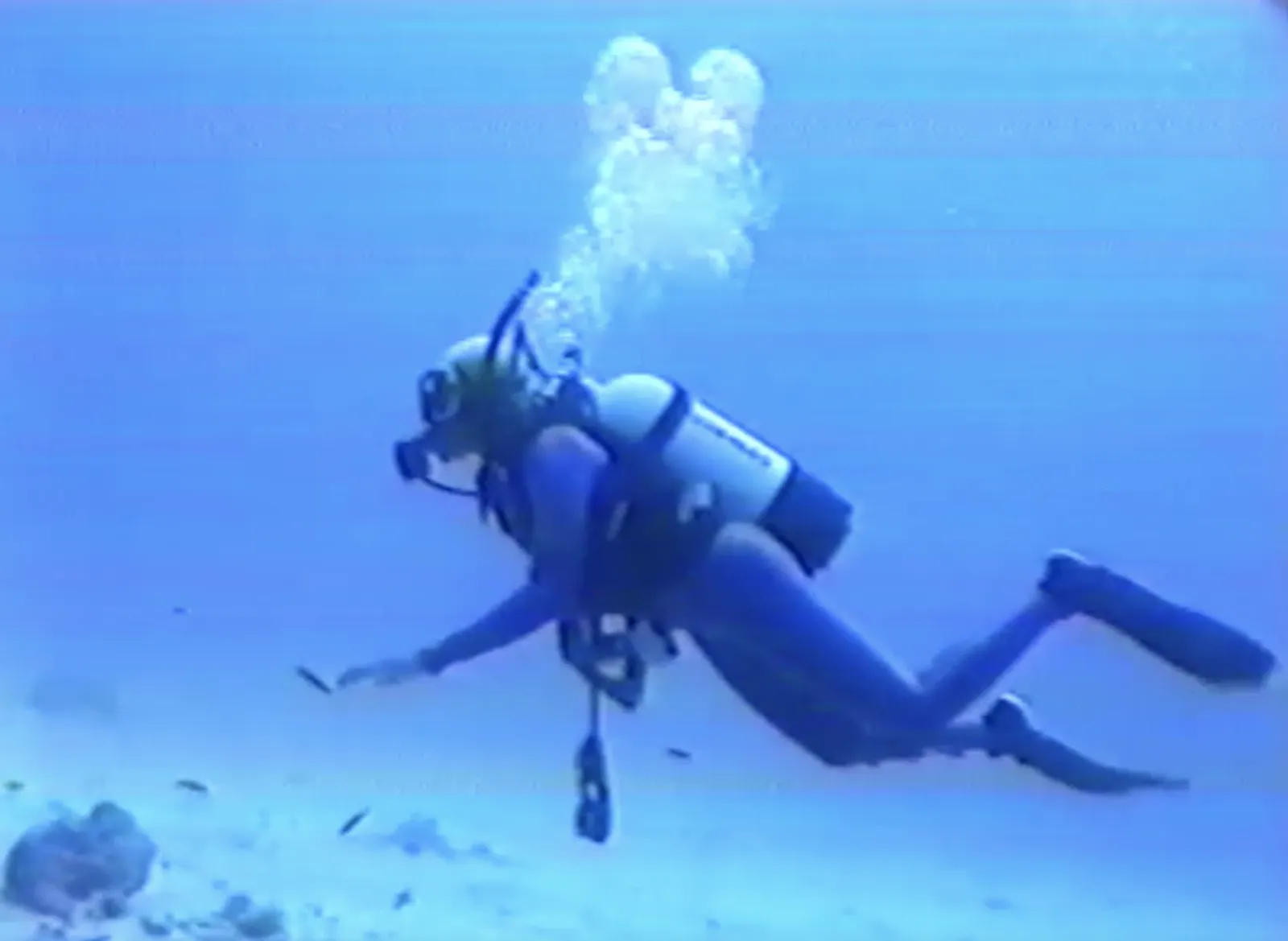 Sheila Walker scuba diving