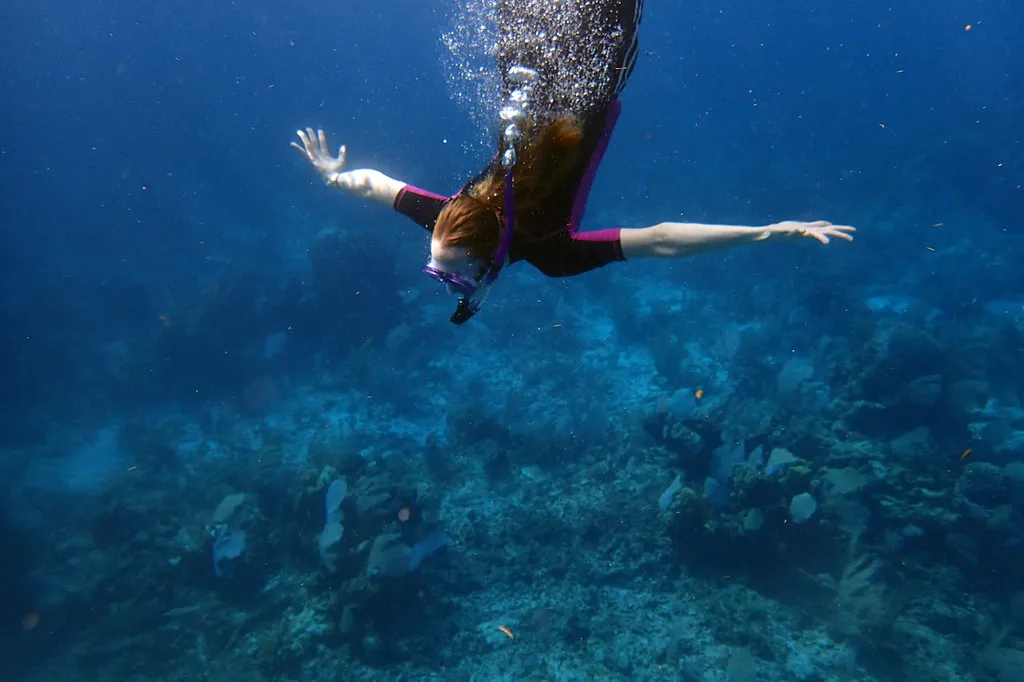 a student diving in the ocean