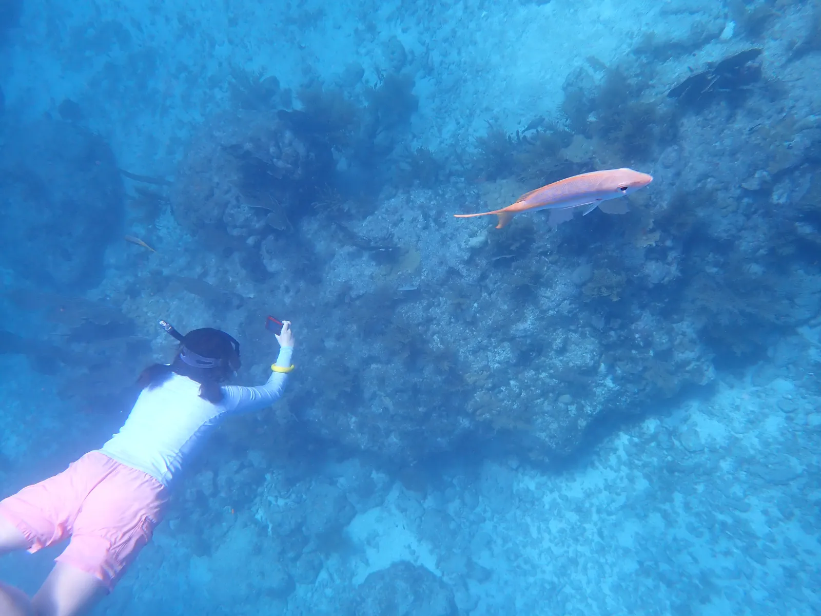 Student snorkeling in Florida