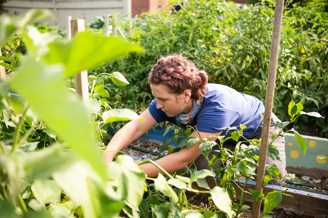 community garden