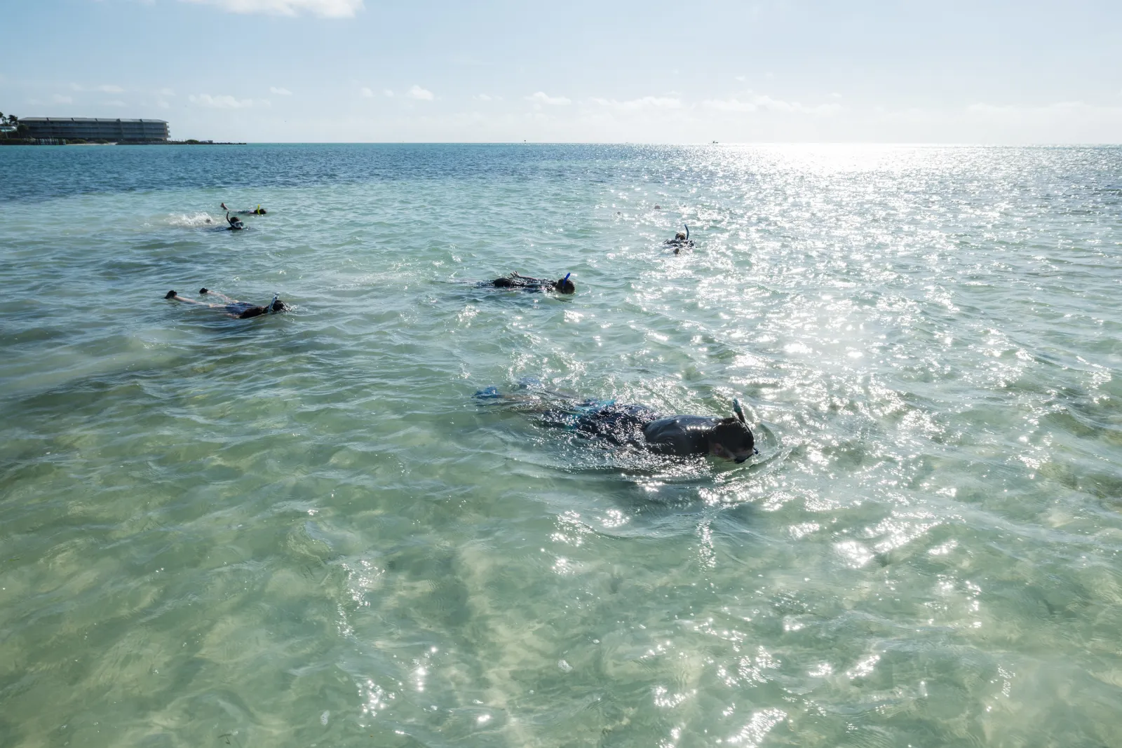 students snorkeling