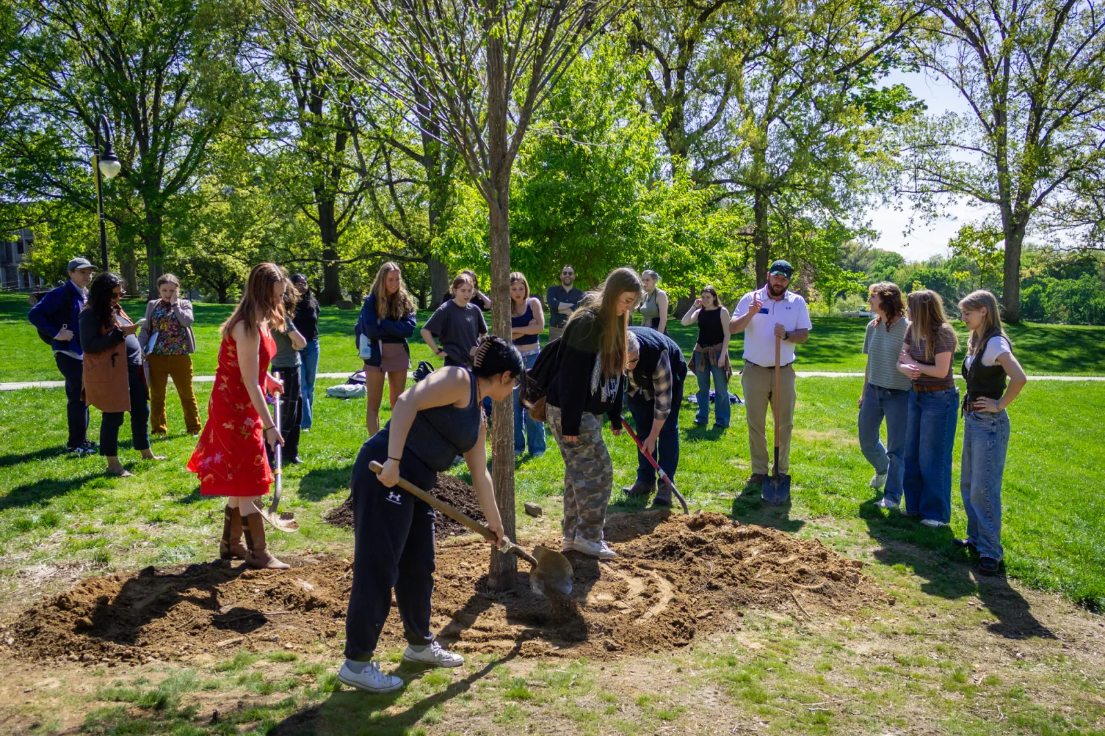 community members plant a tree