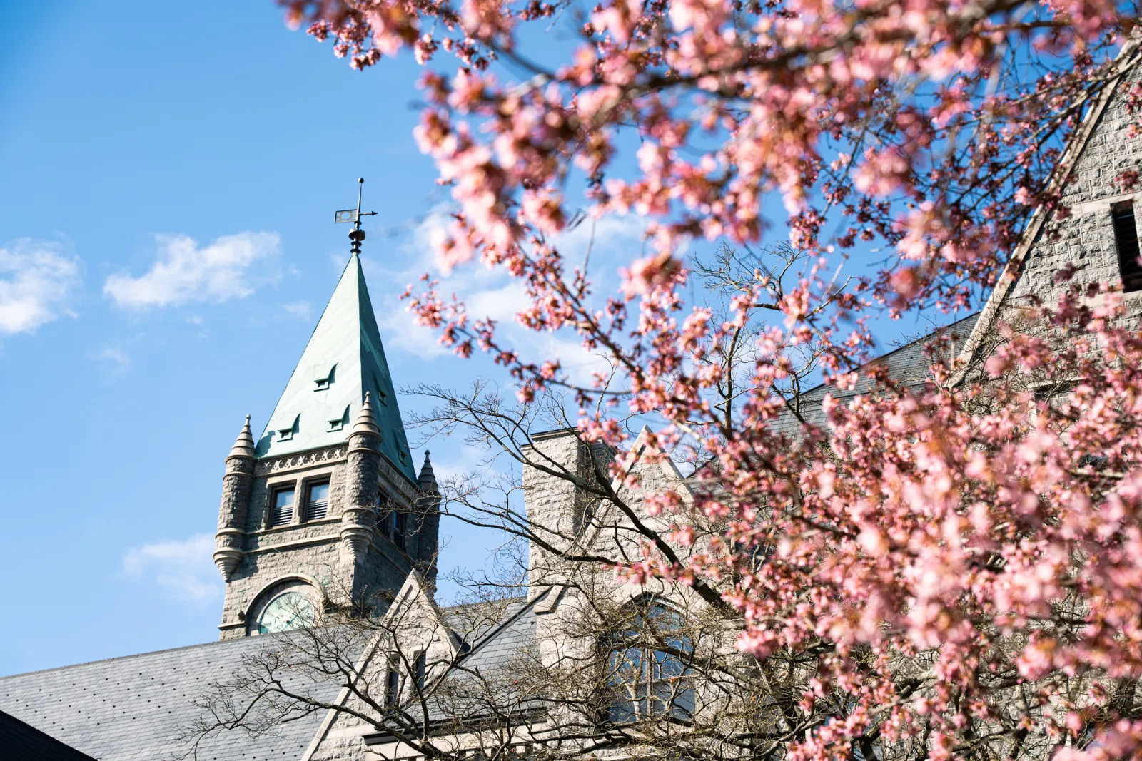 Taylor Hall in the spring