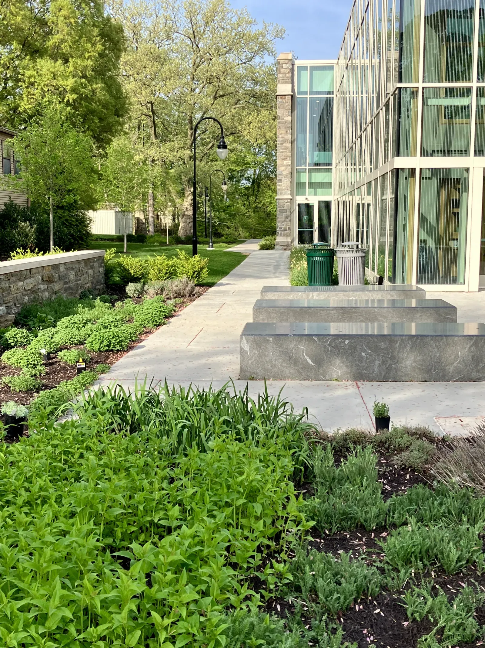 health and wellness garden