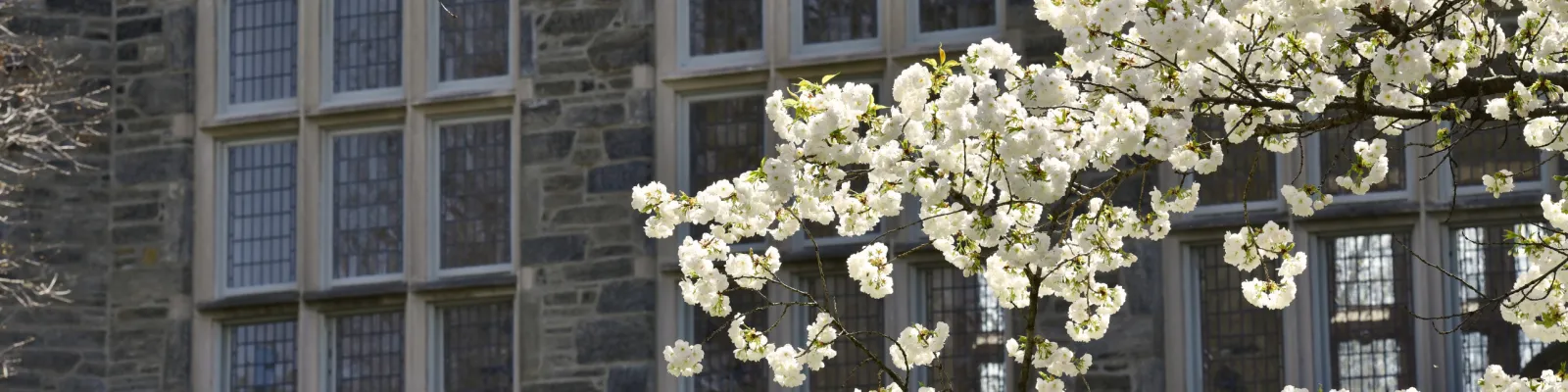 Campus banner 5