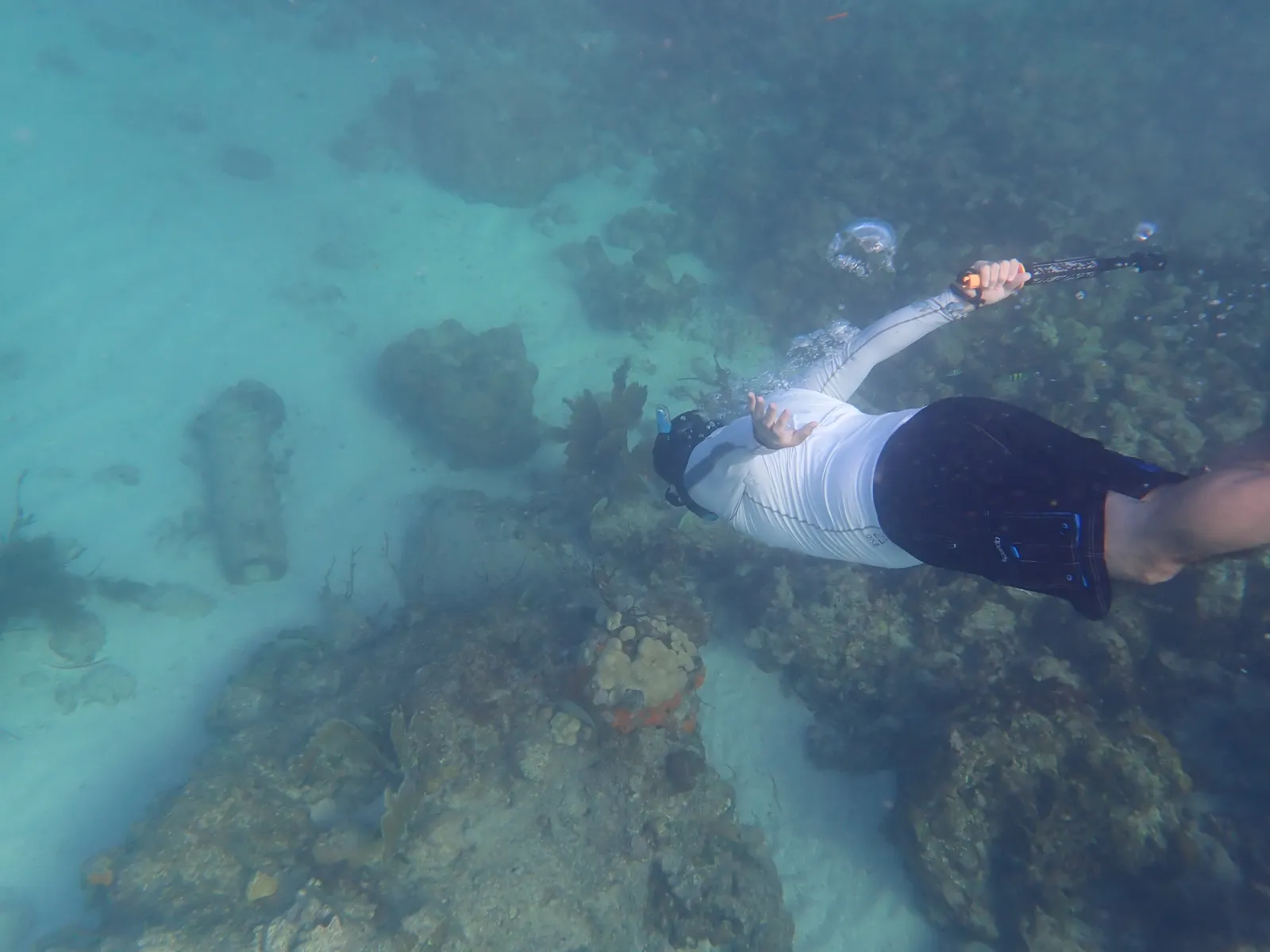 Pedro Marenco snorkeling as part of research opportunities