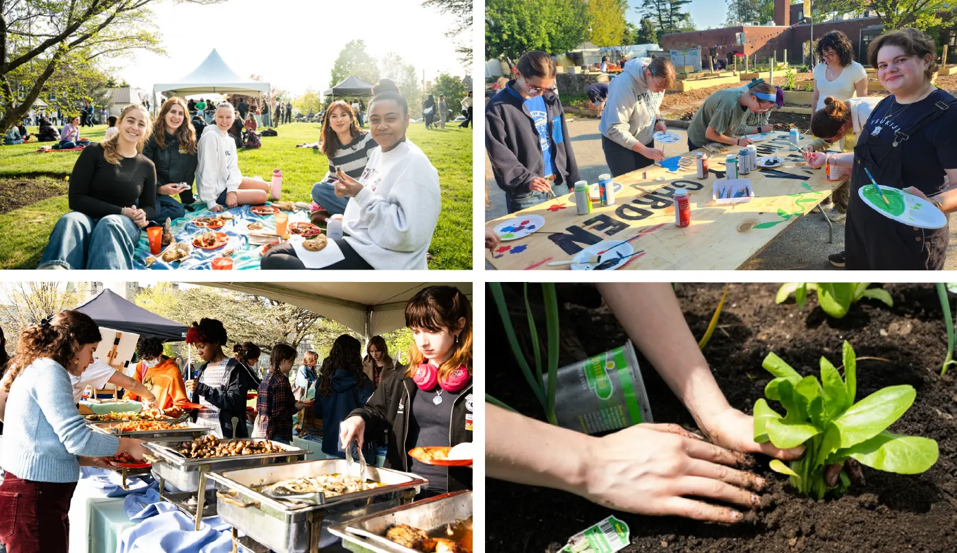 Sustainability Impact Report - Events