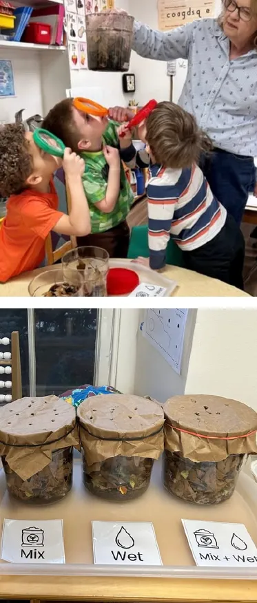 Sustainability Impact Report - Thorne School