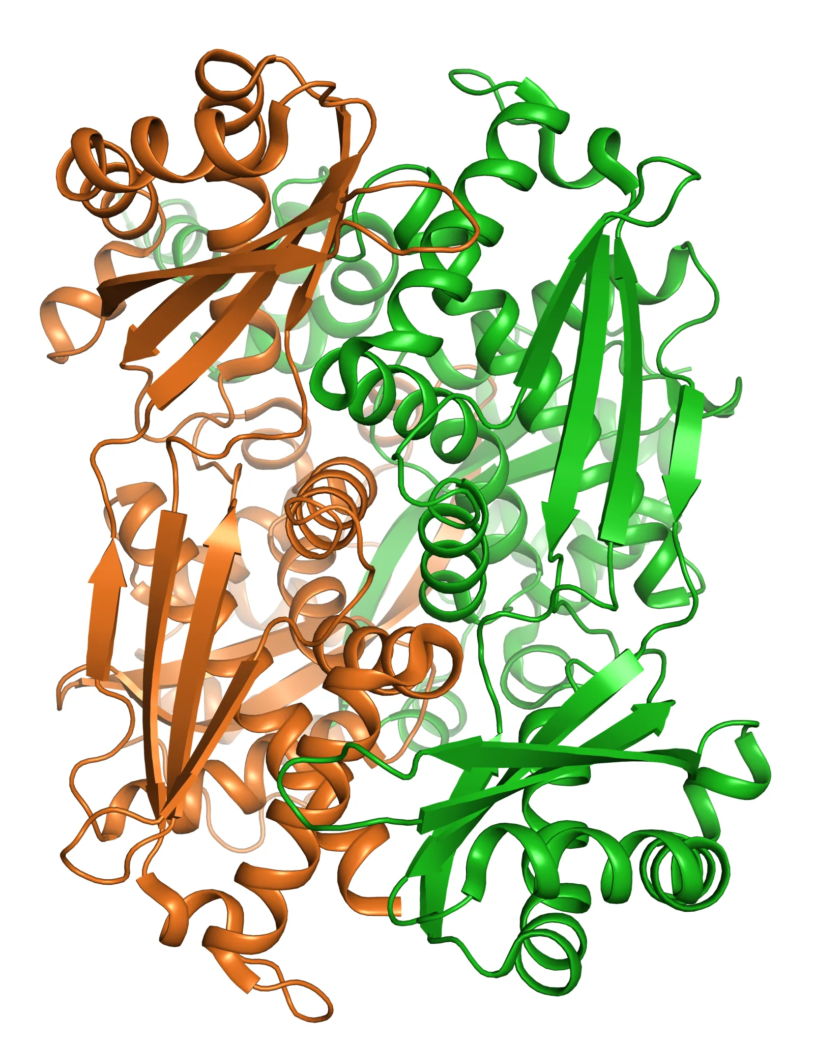 Research Image