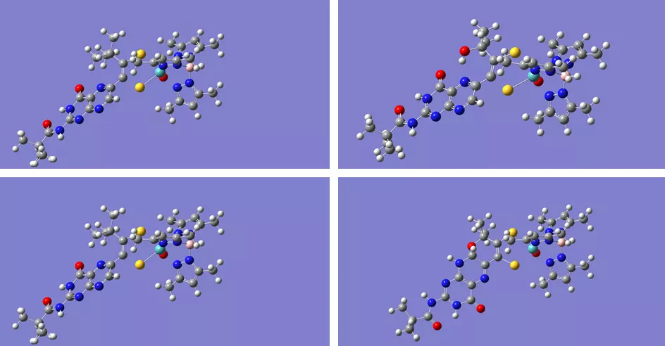 Molybdenum Cofactor models