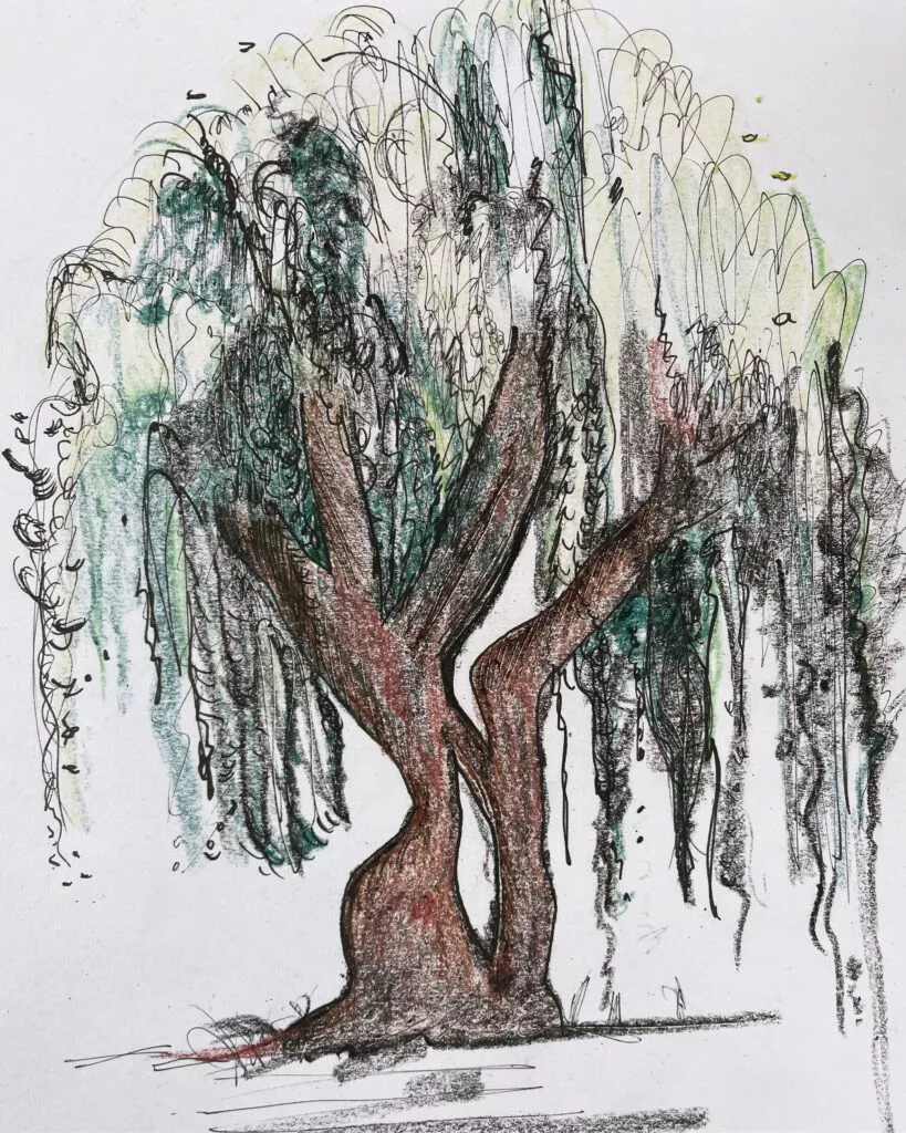 Illustration of a tree