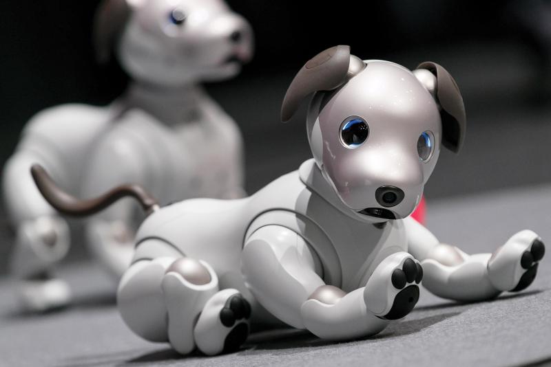 Robot Puppies