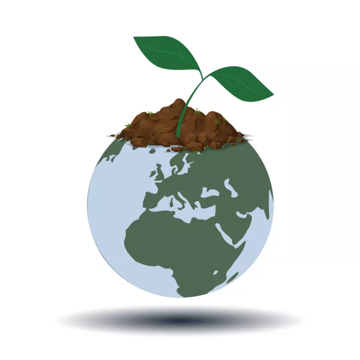 Sprout and Dirt on Top of Globe
