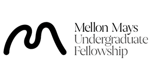 Physics Mellon Mays Logo