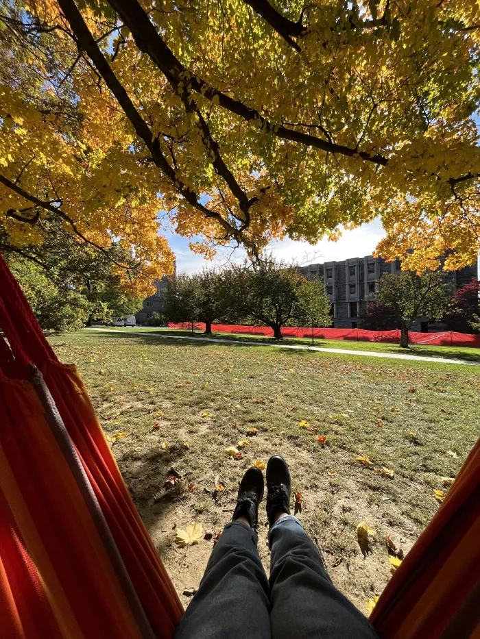  Enjoying the hammocks along Senior Row on an autumn afternoon.&nbsp;