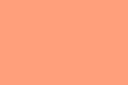 design - color palette - coral