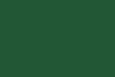 design - color palette - evergreen