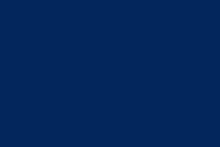 design - color palette - navy