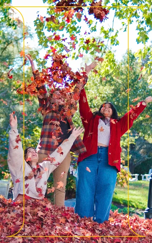 Next Chapter - Pillar 2 - side image D