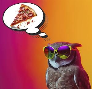 Drupal DropIns Pizza Party Owl